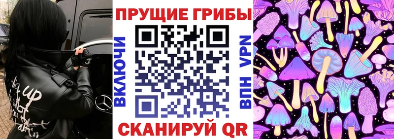 Галлюциногенные грибы Psilocybine cubensis  Цоци-Юрт 